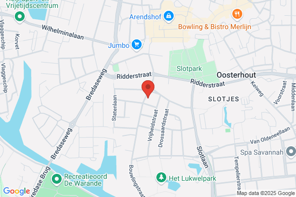 De Synaps Josee Stienstra