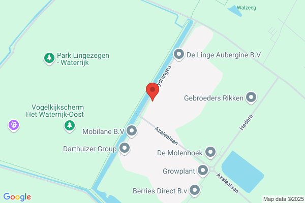 Handelskwekerij W.Th. De Beijer Bv