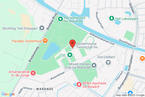 Zwaan, De