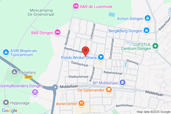 Mierlo Dongen Bv, C Van