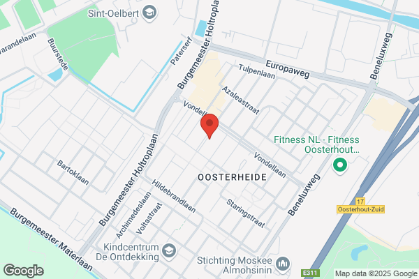 Looijschilder Schilderwerken