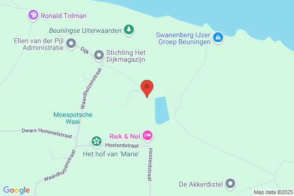 Roelien Elgersma pianostemmer