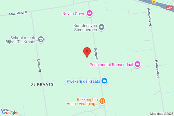 Steenbergen C van