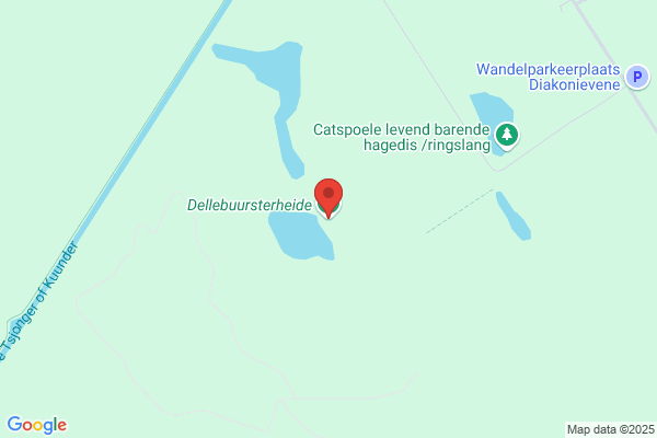 Delleburen, De