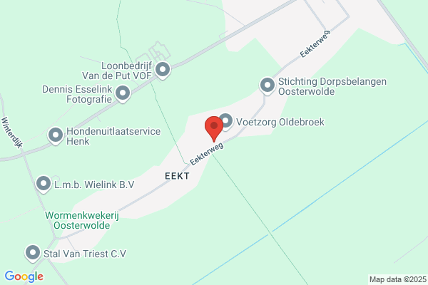 Hof, L Van 't