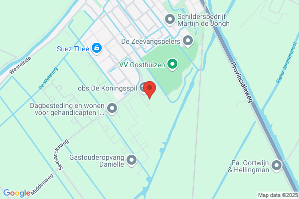 Zwaluw, De