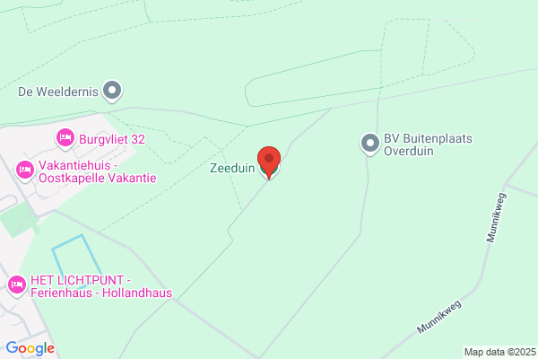 Zeemeeuw, De