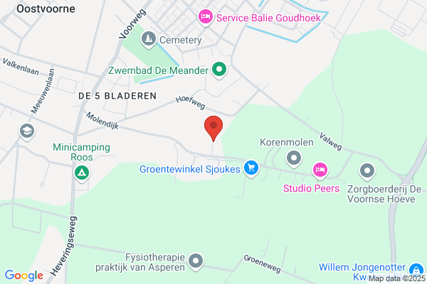 Van Dongen Engineering Services