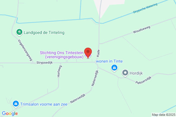 Tintestein