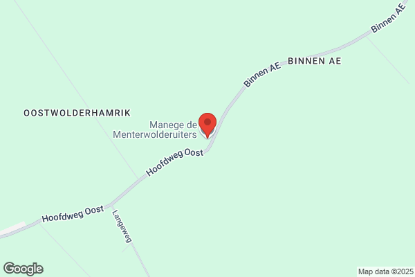 Mens En Paard In Harmonie