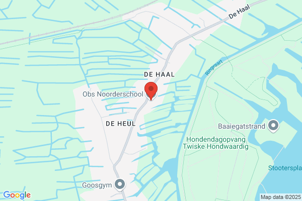 Rohes