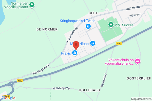 Anneloes Den Haan