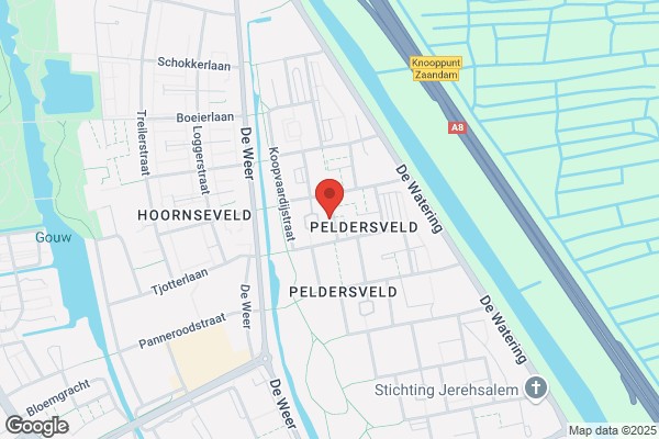 Eshuijs