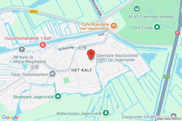 Vuurvogel, De