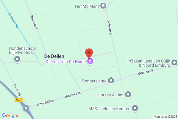 Duitse Doggen V.D. Lingestreek
