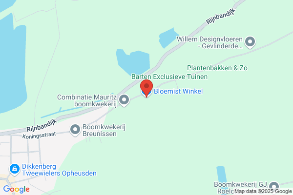 Wija Exclusieve Zijden Boeketten