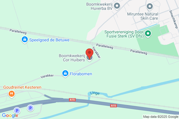 Boomkwekerij Lindenhof Bv