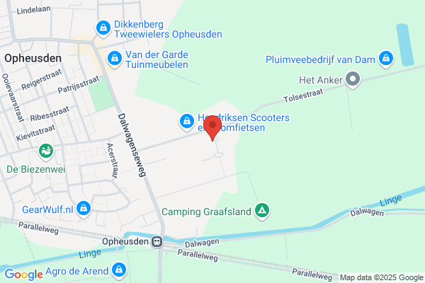 T. Tollenaar