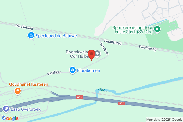 Roodbeen Opheusden