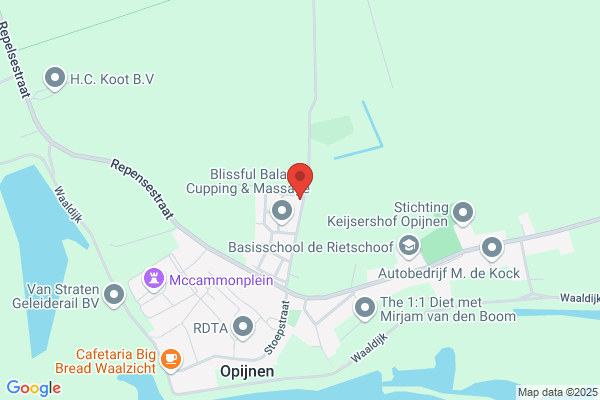 Doorn Bv, Van