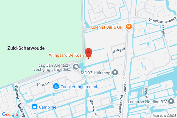 Wijngaard, Van Der