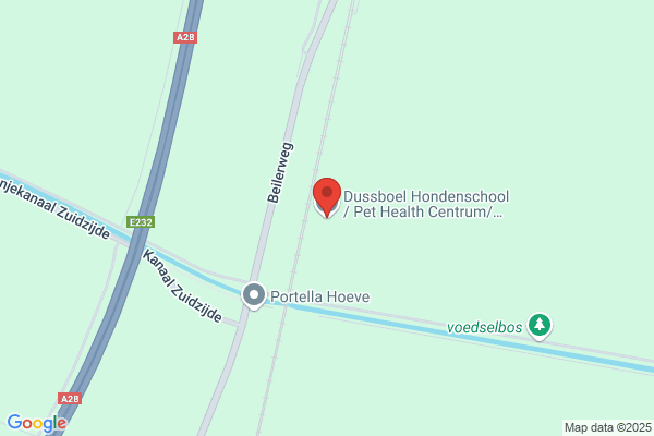 Db De Gehoorzame Huishond