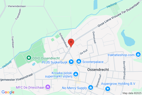 Goossens