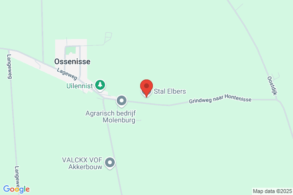 Elbers Psychosociaal Therapeut Ineke