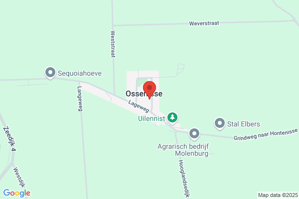 Hof Ter Nesse