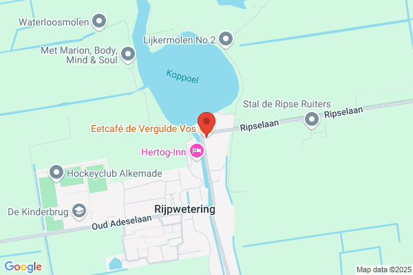 Cafe De Vergulde Vos