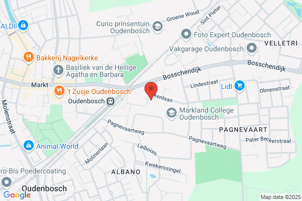 Beuk, De