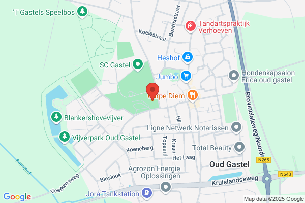 Toine's Veer