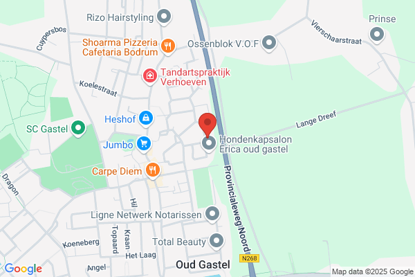 Cafe Zaal Vogelaars