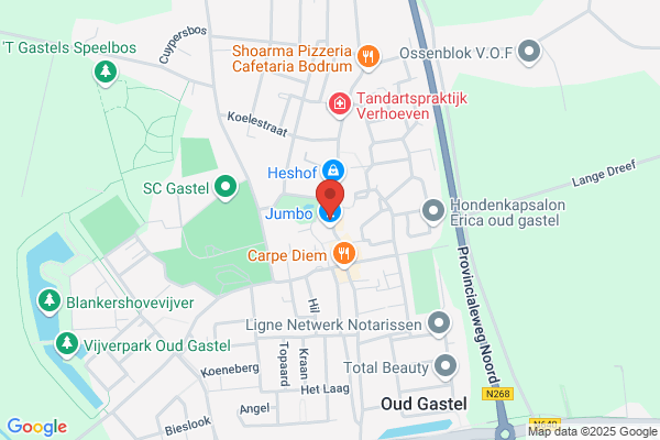 Raadhuis, 't