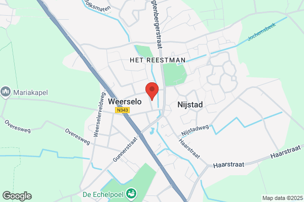 Nijntje Pluis