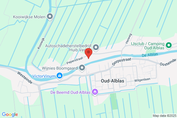 De Kat in de Wilg