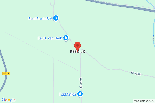 L Reedijk