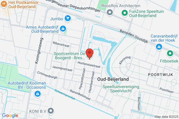 De Boogerd
