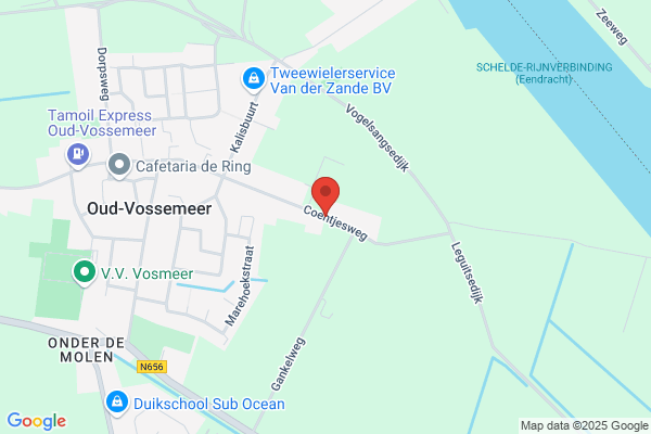 C.D.M. Hommel-Van Den Enden