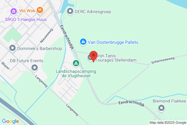 Tanis Goeree