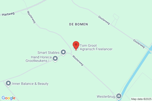 Groot, Tom