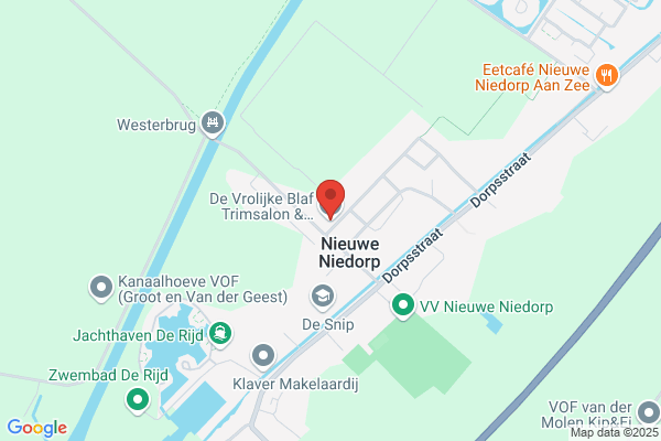 Hondengedragstherapie