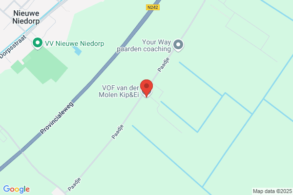 K. Van Der Molen
