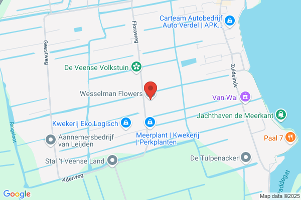 Wesselman Bloemenexport Bv