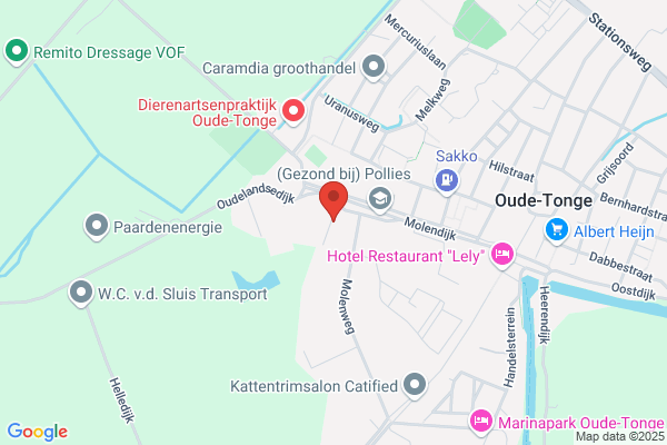 Bsw Zwn Techniek