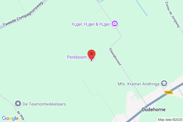 Pereboom, Hanneke