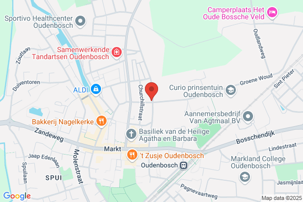 De Verieux Buro Voor Controlling