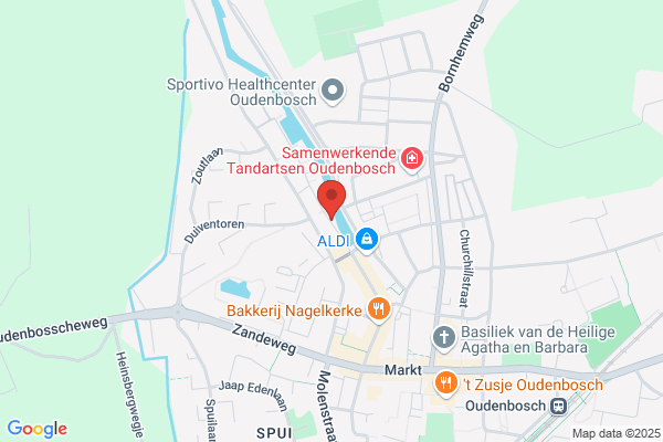 Nuyten, Cees