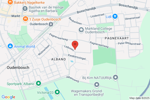 Buijs Bv