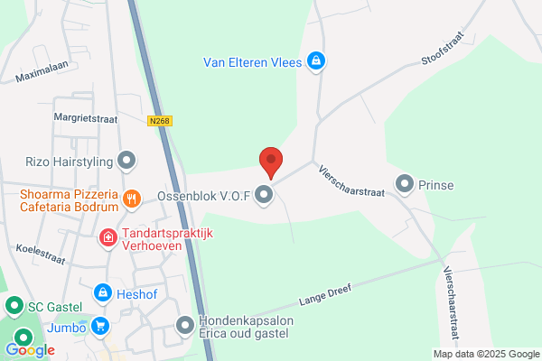 Koetsdijk Typeschool